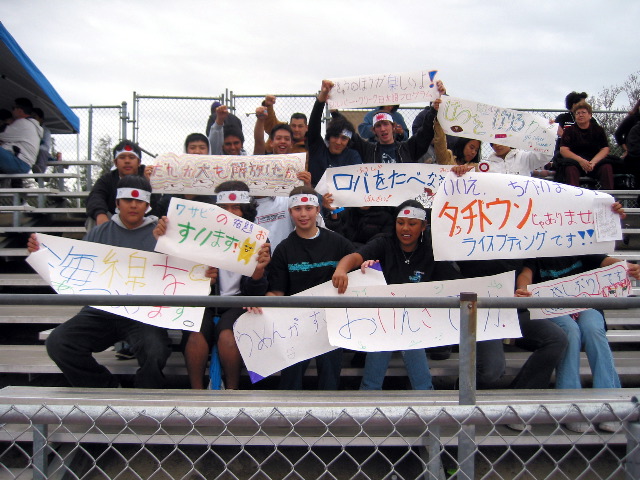 Oendan Stands3