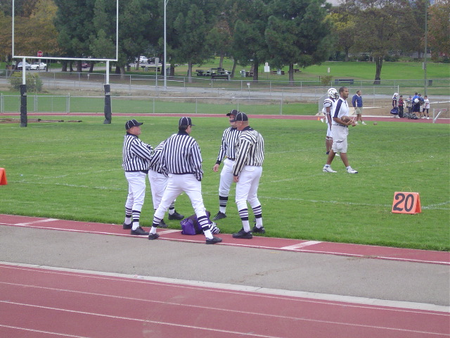 The Zebras