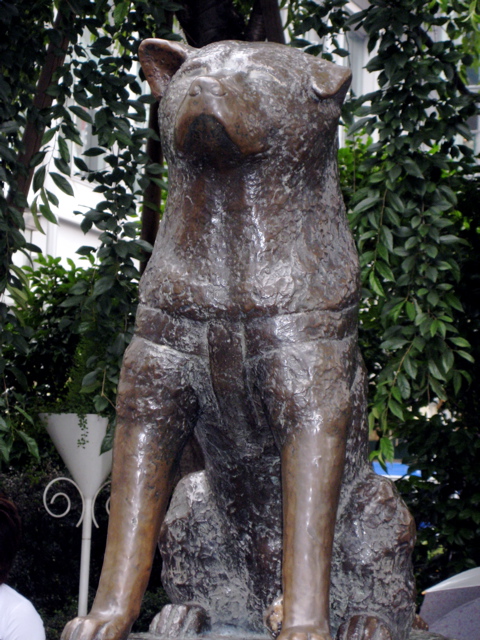 Hachiko Statue-Shibuya