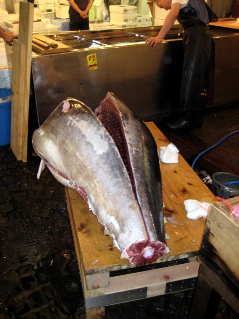Tsukiji Fish Market 3