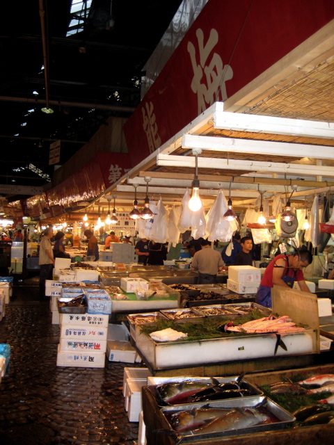 Tsukiji Fish Market 7