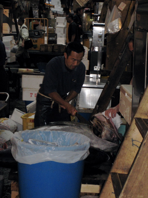 Tsukiji Fish Market 10