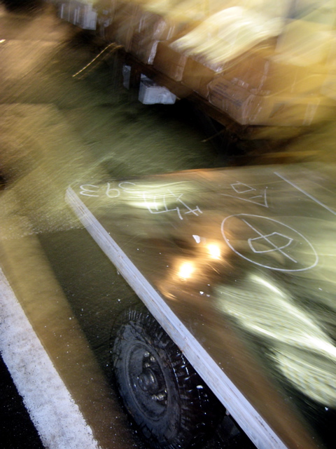 Tsukiji Fish Market 14
