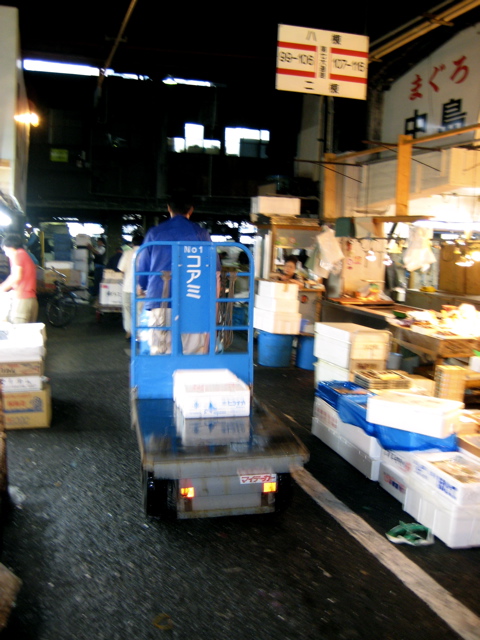 Tsukiji Fish Market 16
