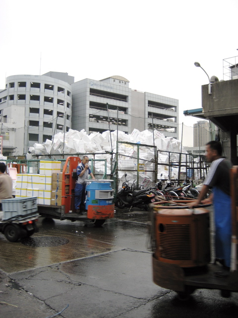 Tsukiji Fish Market 17