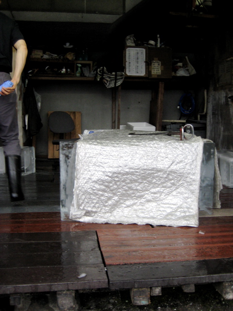 Tsukiji Fish Market 18