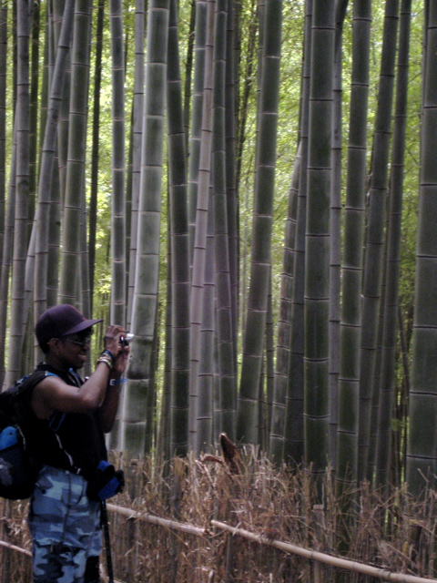 Fushimi Inari Bamboo 2