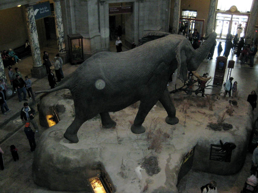 Smithsonian Natural History 1