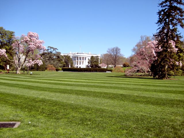 White House 3