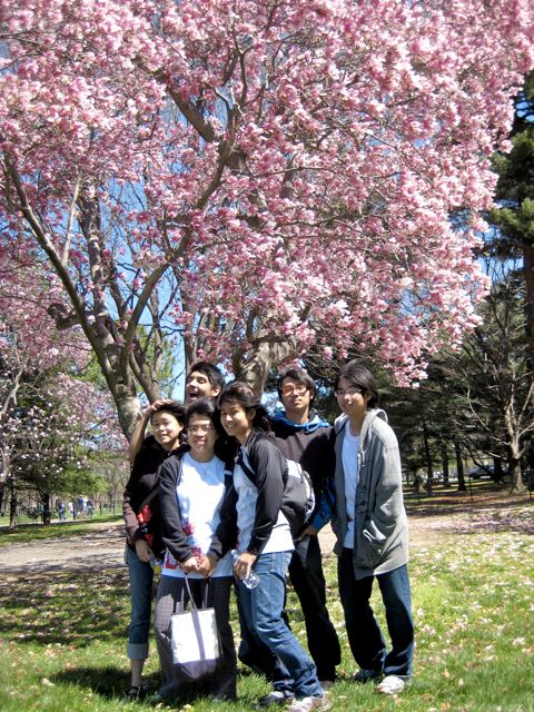 Sakura Group