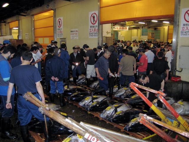 Tsukiji Market 2