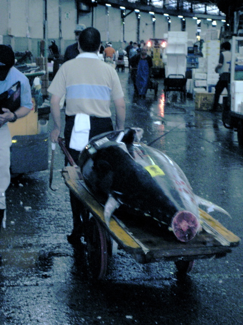 Tsukiji Market 4