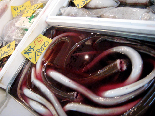 Tsukiji Market 8