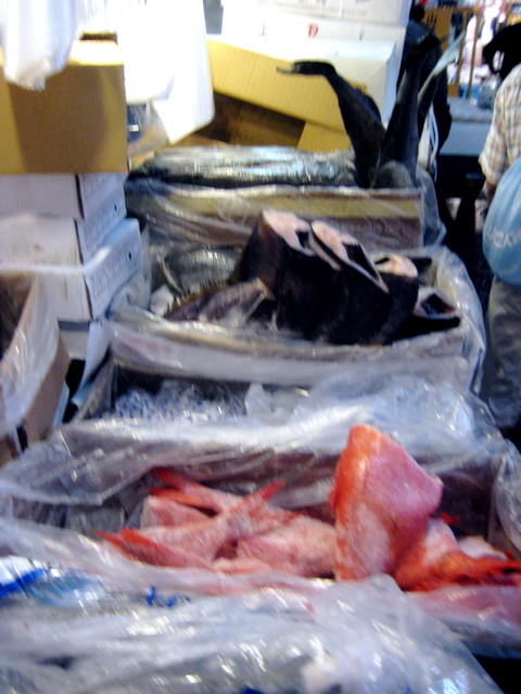 Tsukiji Market 9