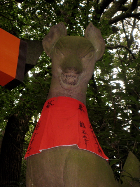 Fushimi Inari Taisha 5